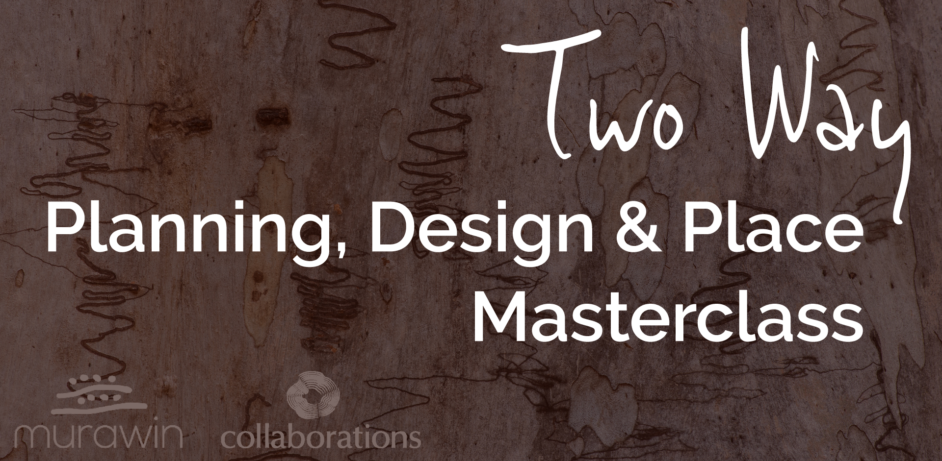 Two Way Planning, Design and Place Masterclass Banner