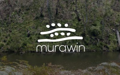 A year of change – reflections from Murawin CEO Carol Vale 