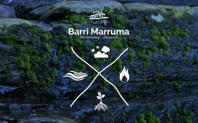 What is Barri Marruma?