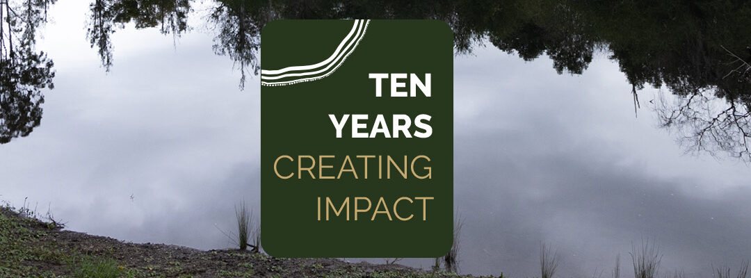 10 Years Creating Impact: 2024 a year in review