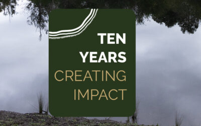 10 Years Creating Impact: 2024 a year in review