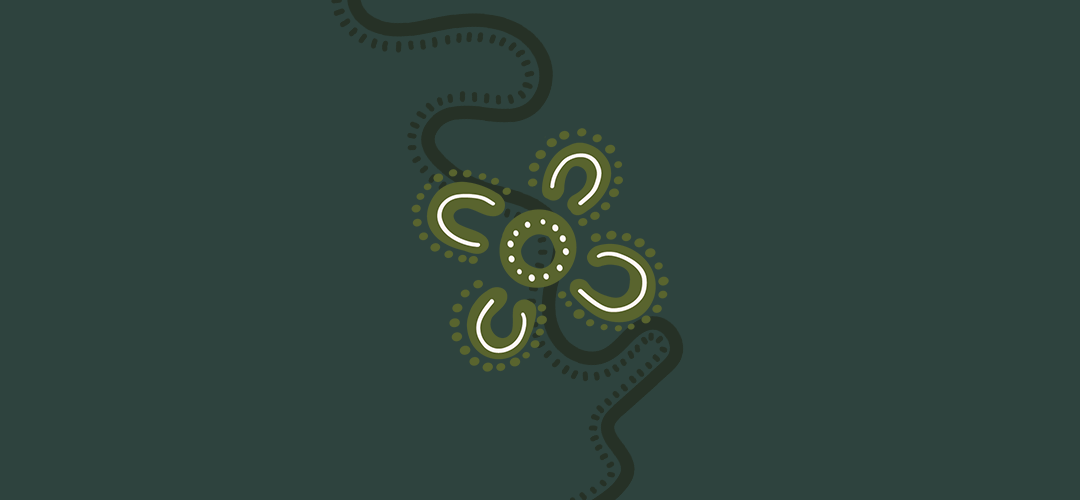 Embedding Indigenous Knowledge Systems in our Business Practices