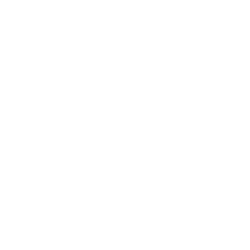 NSW_initiative